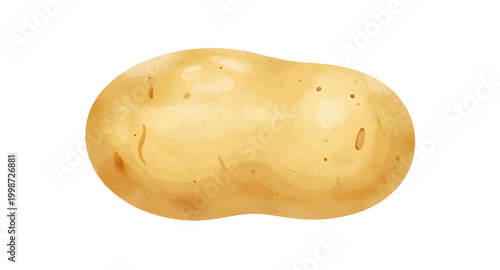 Bild auf Leinwand potato, vegetable, food, brown, tuber, fresh, organic, farm, natural, healthy, r