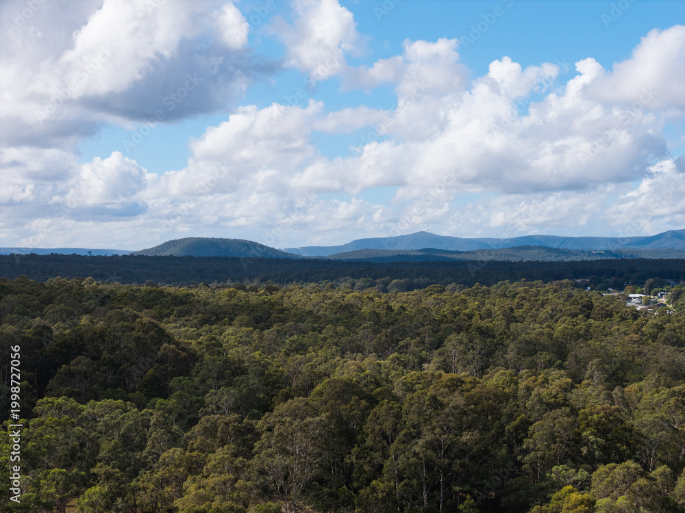 Fototapeta premium Beautiful view of trees and mountain landscape.