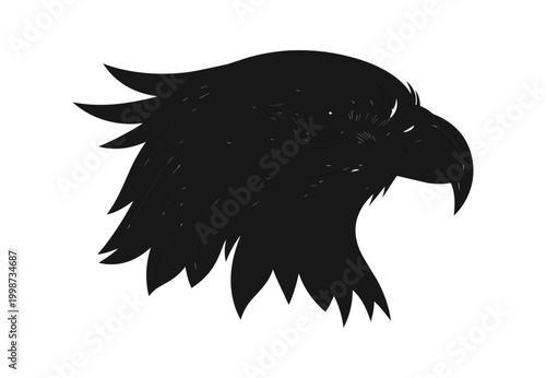 Silhouette of a bird of prey on black background
