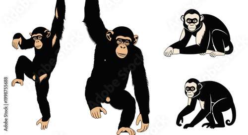 Chimpanzee Poses Set: Swinging, Crawling, and Relaxing