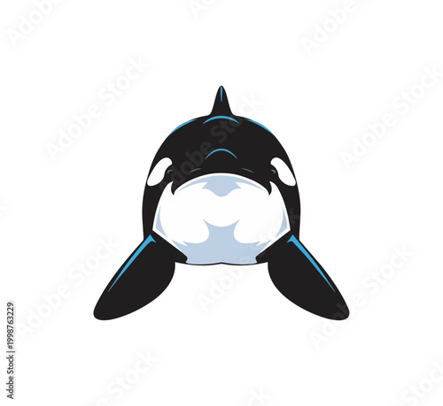 Orca illustration frontal view on black background vector design