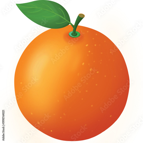 Fresh Orange Fruit Illustration Isolated on White Background