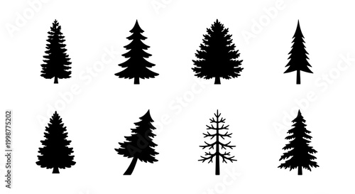 Fotografía Coniferous Tree Silhouette Set, Evergreen Pine and Spruce Forest Vector Icons fo