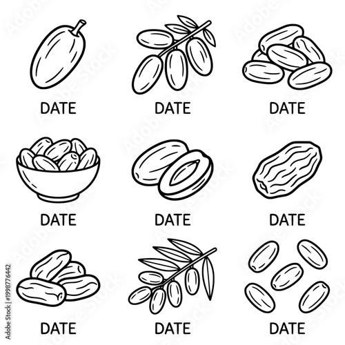 Collection of stylized illustrations of dates and date palm branches.