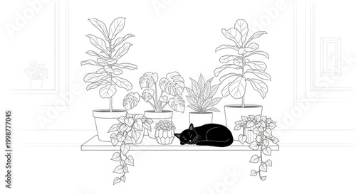 Black cat rests peacefully amidst a collection of potted plants on a shelf