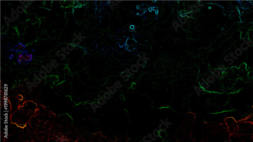 Abstract Vector  and Colorful Digital Visualization with dark backdrop with spectral, luminous outlines forming unique contours of lines, bubbles and nebulas.