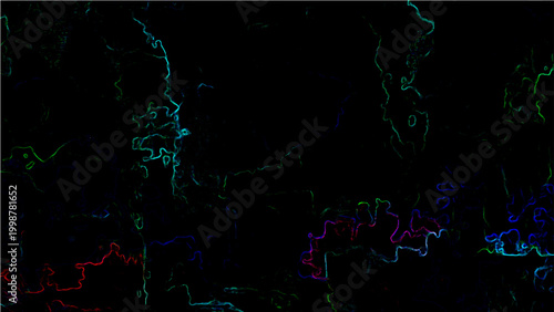 Abstract Vector colorful lines contouring the landscape with a dark moody visual ambiance and vivid graphical elements.