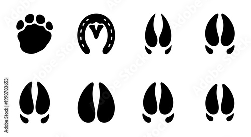 Photos Animal Footprints and Hoof Prints Vector Icons Set, Wildlife Tracks Collection,