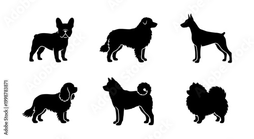 Photos Six Black Dog Silhouettes, Vector Icons Set: French Bulldog, Collie, Doberman, S