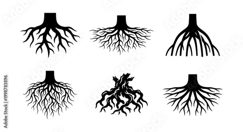 Bild auf Leinwand Root System Vector Icons, Organic Plant Foundation Silhouettes, Tree Base Networ