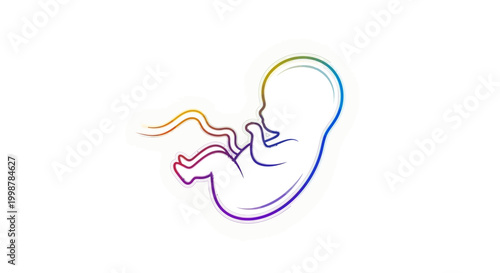 Rainbow outline of a fetus with umbilical cord, symbolizing life, development, and hope