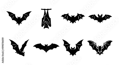 Schilderij op canvas Set of Black Bat Silhouettes and Flying Vampire Bat Vector Icons for Halloween