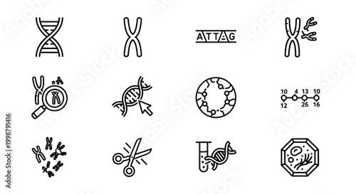 Genetics, biology, science icons set, 10 black line style elements, DNA, cells, molecular structures, biotechnology symbols, illustrations for commercial use