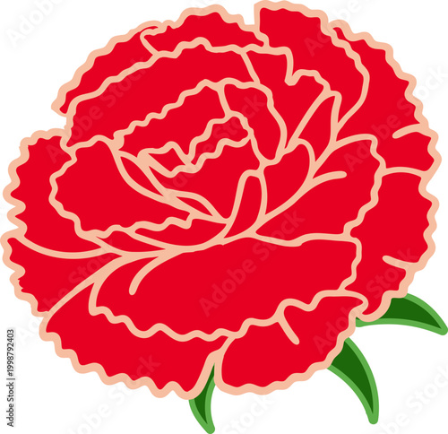 Single red carnation vector illustration with decorative light outlines