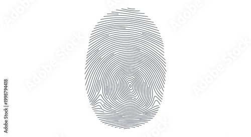 Abstract Fingerprint Pattern, Security Concept, Identity, Biometric Scan, Unique Identification