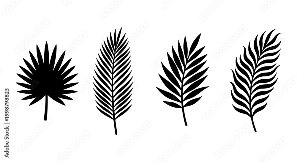 Fototapeta premium Set of Four Black Palm Leaf Silhouettes, Tropical Foliage Vector Icons, Exotic Botanical Elements for Summer Design