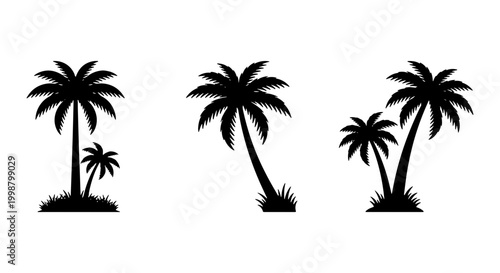 Set of Tropical Palm Tree Silhouettes for Summer Beach and Travel Design