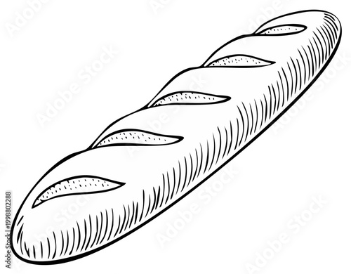 Line art depiction of a long loaf of French baguette bread with traditional scoring details shown isolated on white, vintage bakery drawing