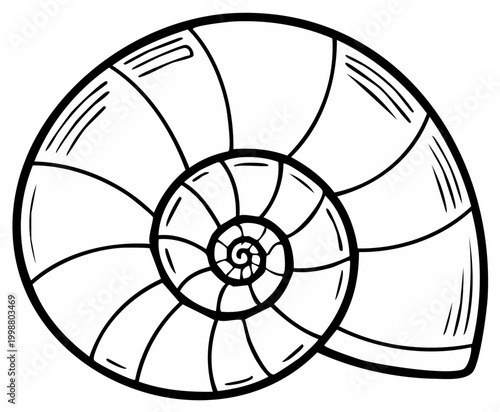 Black and white illustration of a nautilus shell spiral pattern