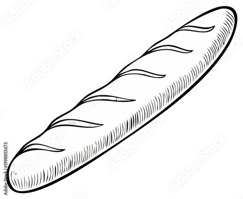Hand Drawn Baguette Bread Loaf Illustration Simple Outline Graphic on White