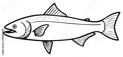 Outlined illustration of a salmon fish, perfect for educational materials