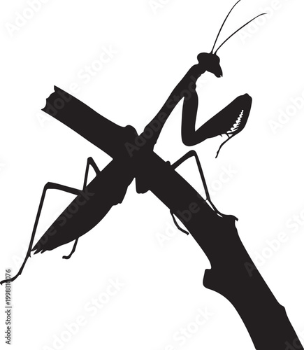 Silhouette of a Praying Mantis on a Branch Isolated on White Background (2)