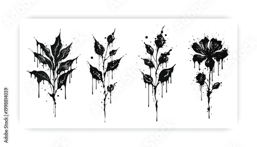 Foto A set of four distinct botanical illustrations featuring artistic paint drip eff