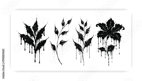 Фотография A set of four distinct botanical illustrations featuring artistic paint drip eff