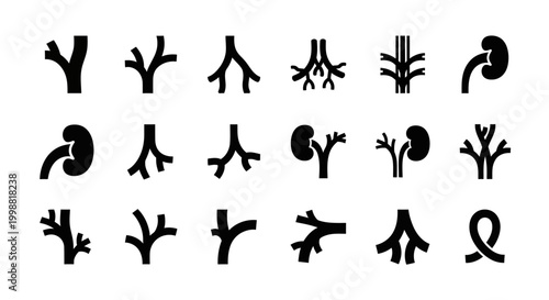 Anatomical Organ Icons, Kidney Symbols, Human Body Parts, Medical Illustrations, Vector Graphics