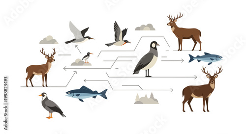 Animals interact in a natural ecosystem with food chain connections