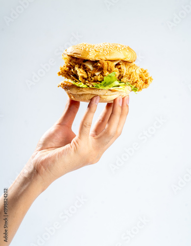 Hand holding a fried chicken burger isolate on white background