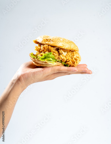 Hand holding a fried chicken burger isolate on white background