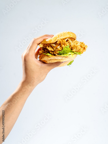 Hand holding a fried chicken burger isolate on white background