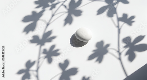 White chicken egg on white surface with leaf shadows