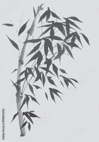 A detailed sumi-e brush stroke of a bamboo plant, displaying its unique leaves and stalk