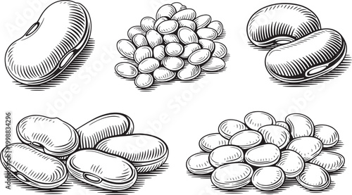 Variety of grains and seeds including beans, lentils, and pulses