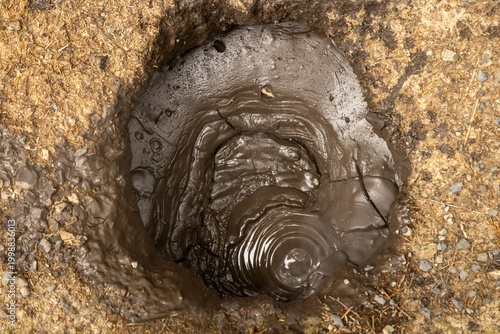 Konstfotografi A mud pot bubbles in Tokaanu, New Zealand