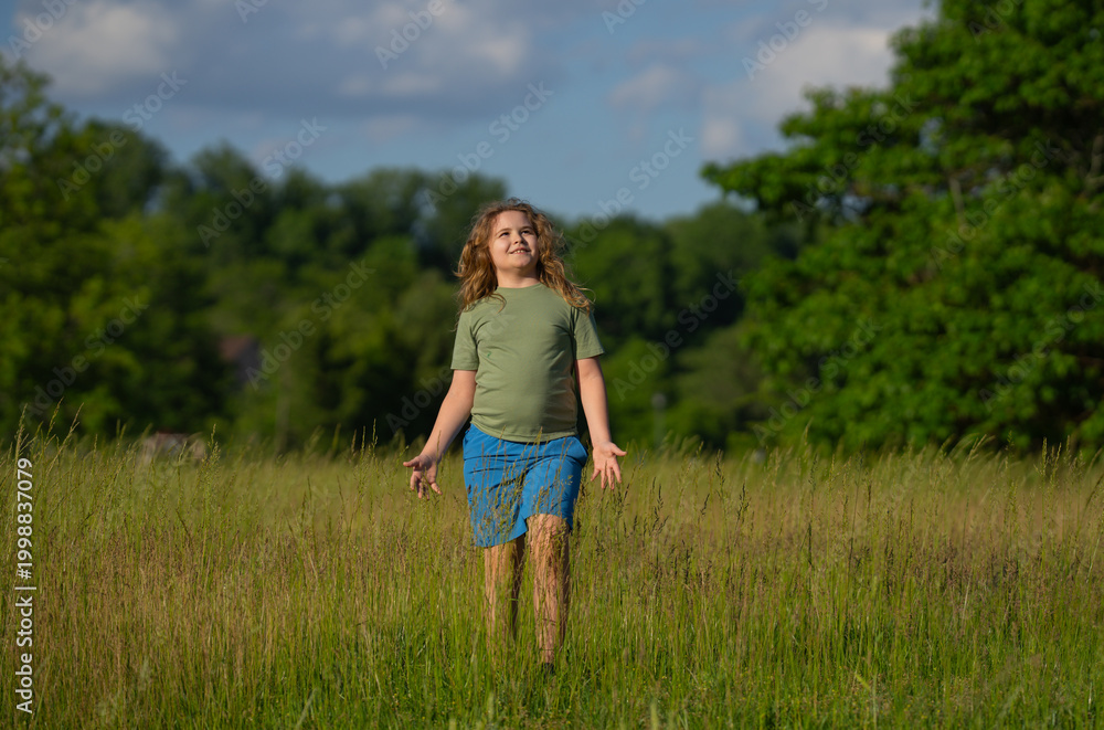 Fototapeta premium Child walking in green meadow. Happy child on summer nature. Child outdoors in rural field. Childhood freedom. Outdoor lifestyle for children. Child and environment.