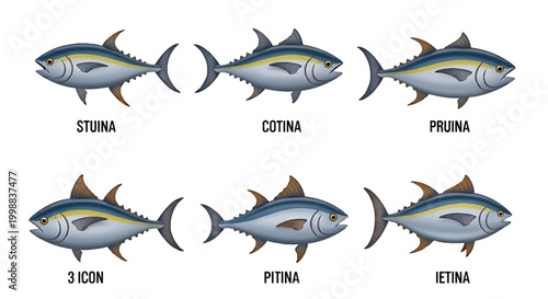 Vibrant illustrations depicting a collection of tuna fish, showcasing various angles of this popular marine creature, ideal for aquatic and seafood-related designs and culinary themes