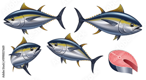 Detailed illustration of vibrant yellowfin tuna fish in various dynamic poses, accompanied by a fresh, cross-sectioned tuna steak, highlighting aquatic life and healthy seafood