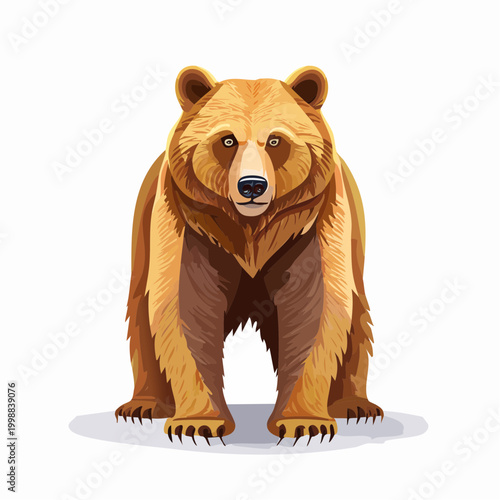 Brown Bear Standing on Four Legs.