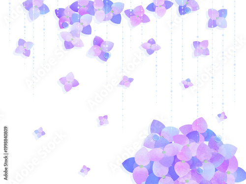 紫陽花の背景イラスト