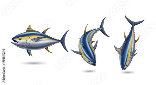 Illustration of a yellowfin tuna fish from three different angles, showcasing its sleek body and distinctive fins