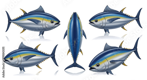 Set of Detailed Yellowfin Tuna Fish Illustrations Showcasing Different Angles and Perspectives on a Clean White Background