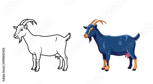 Detailed vector graphic illustration showing a stylized farm goat in both line art and color