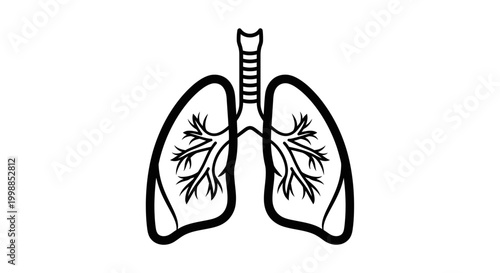 Human Lungs Anatomy Outline Icon Vector Illustration