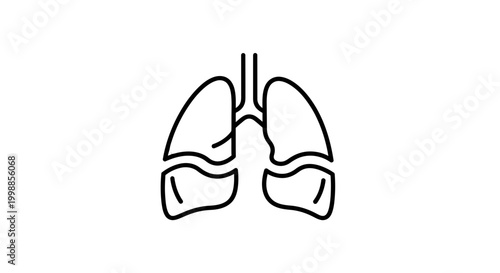 Human Lungs Icon Outline Vector Illustration, Respiratory System, Medical Symbol