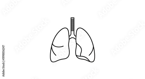 Minimalist Line Art Icon of Human Lungs, Respiratory System Anatomy