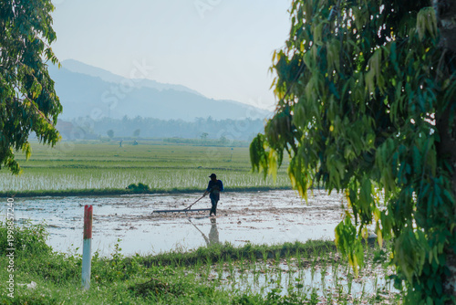 Quadro em tela A farmer is seen cultivating a watered rice field using traditional tools under the gentle morning sun