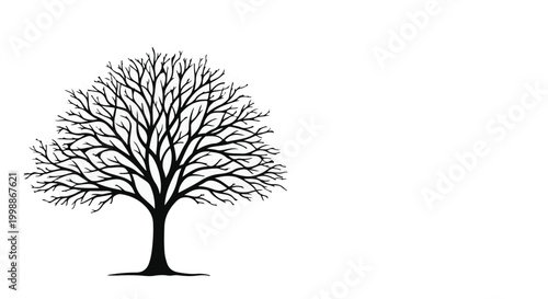 Tree with bare branches stands alone against a white background for seasonal design.